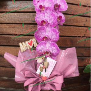 Orquidea